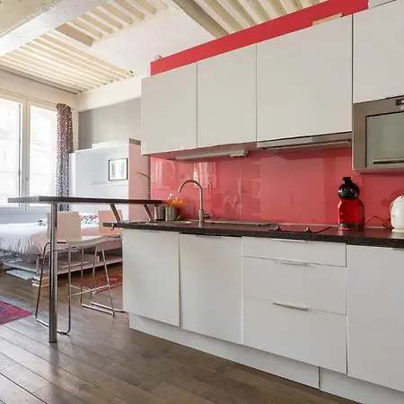 Apartment Large Renovated Studio *lyon 1st Arr* *