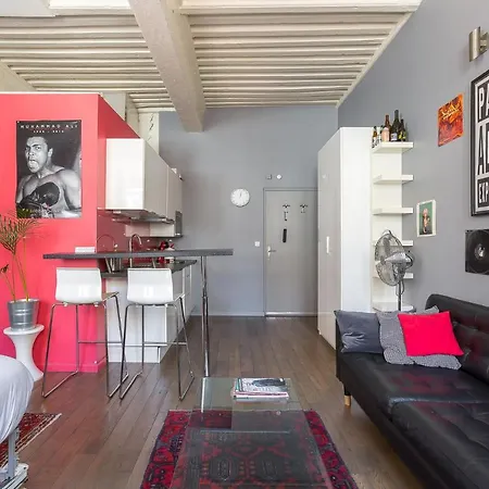 Large Renovated Studio *lyon 1st Arr* Apartment Lyon