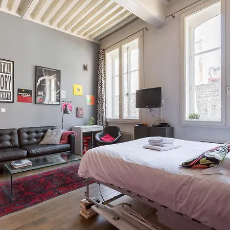 Apartment Large Renovated Studio *lyon 1st Arr*