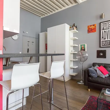 Large Renovated Studio *lyon 1st Arr* *