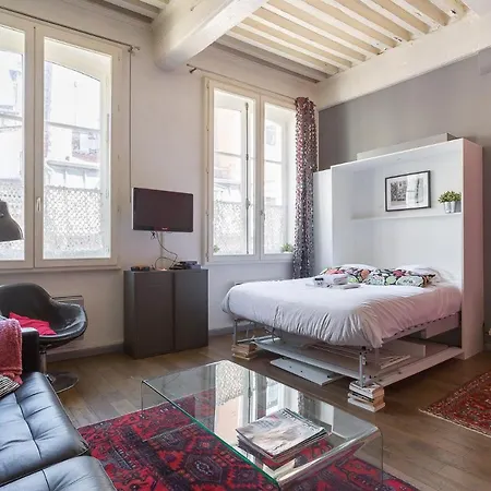 Large Renovated Studio *lyon 1st Arr* *