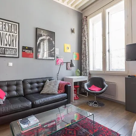 Apartment Large Renovated Studio *lyon 1st Arr*