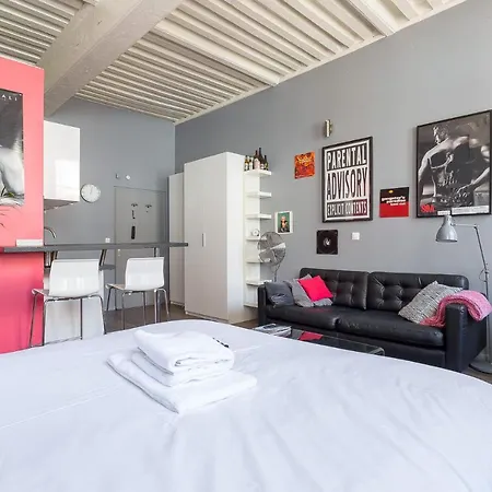 Apartment Large Renovated Studio *lyon 1st Arr* Lyon