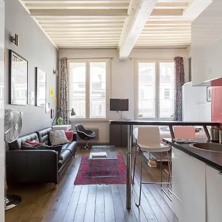 Large Renovated Studio *lyon 1st Arr* Apartment *